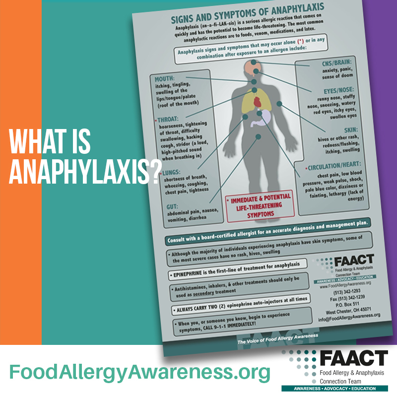 Signs and Symptoms of Anaphalyaxis print out